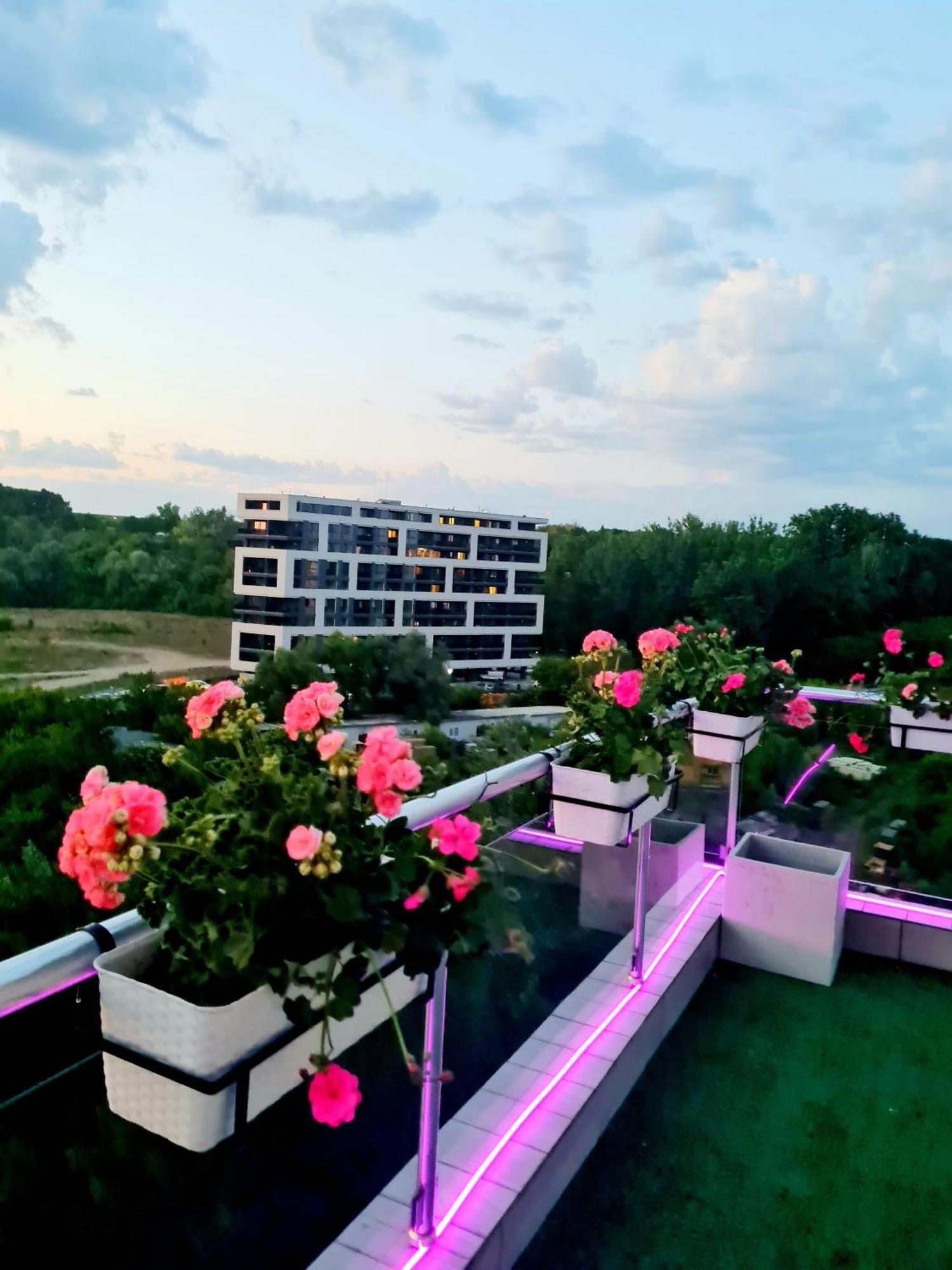 Penthouse View Aeroport Iasi 2 Daire Dış mekan fotoğraf