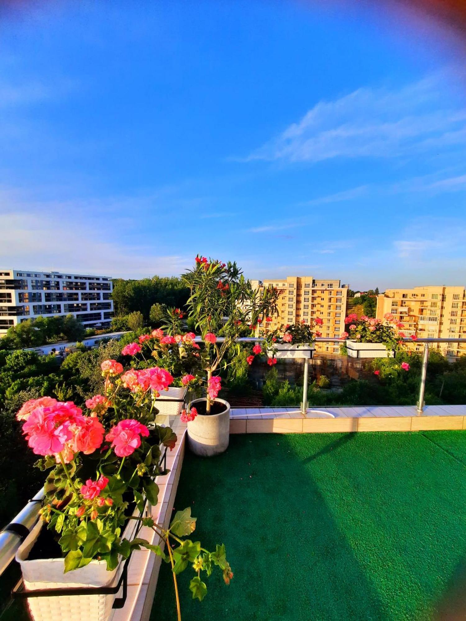 Penthouse View Aeroport Iasi 2 Daire Dış mekan fotoğraf