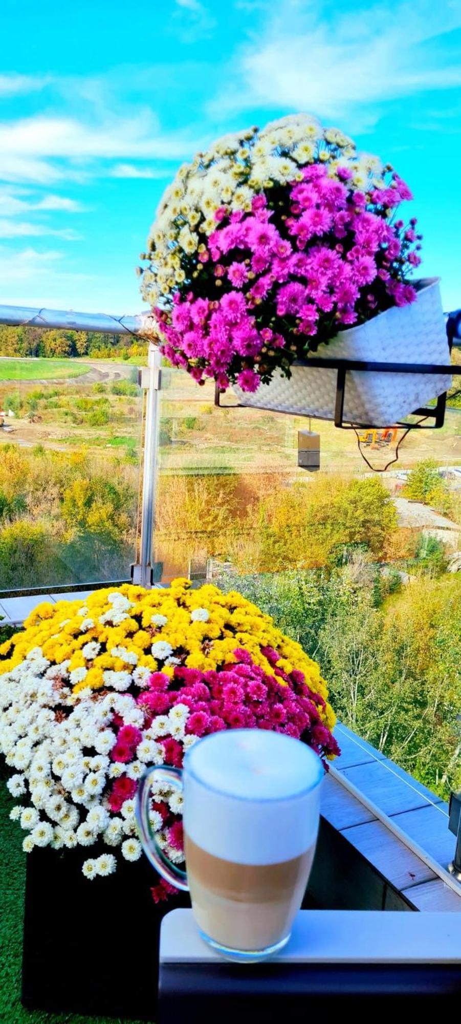 Penthouse View Aeroport Iasi 2 Daire Dış mekan fotoğraf
